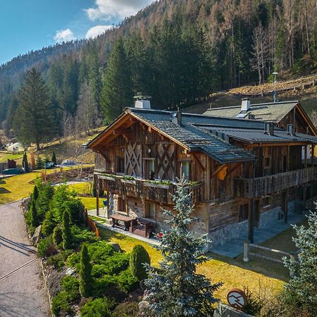 Alpine Mountain Chalet Сан Вигилио ди Маребе Екстериор снимка